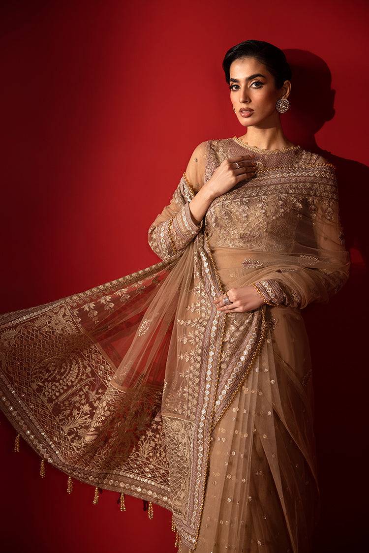 Ellena | Luxury Collection | 06 - Pakistani Designer Dress - by Ellena | Type: Formal - 100% Original at Saira Sultan