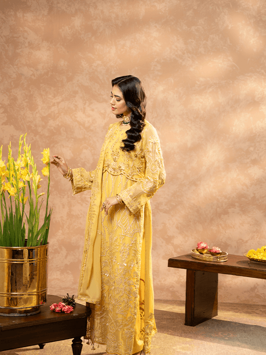 Zebtan | Zeenat Festive Collection | ZN-01 - Pakistani Designer Dress - by Zebtan | Type: Luxury - 100% Original at Saira Sultan