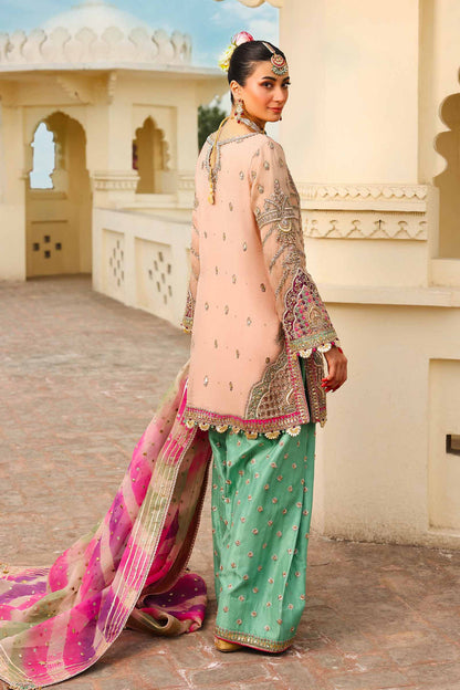 Maria B | Bridal Formals | Zeenat-un-Nisa S Peach Pink Pure Organza