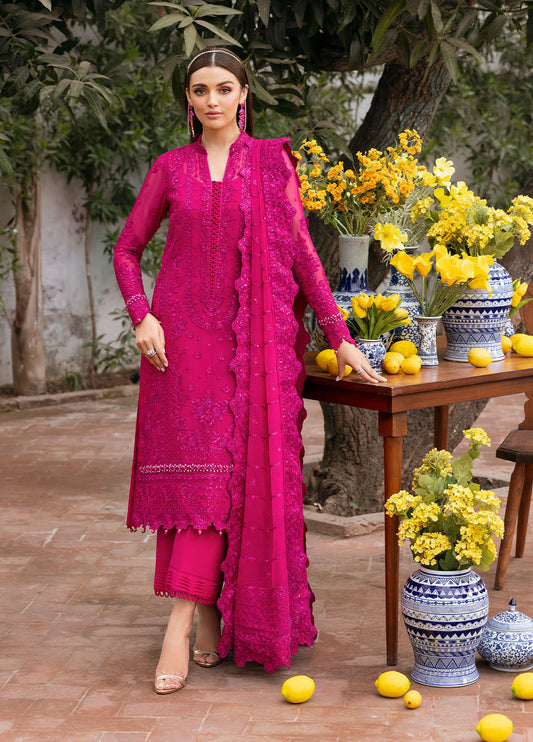 Gulaal | Reverie Embroidered Chiffon | ZEVIRA XS Magenta Chiffon