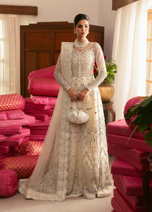 Gulaal | Chaandni Wedding Formals | Sitara XS Ivory Net