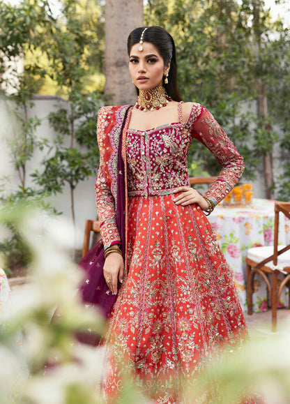 Gulaal | Chaandni Wedding Formals | Shabnam L Orange Net