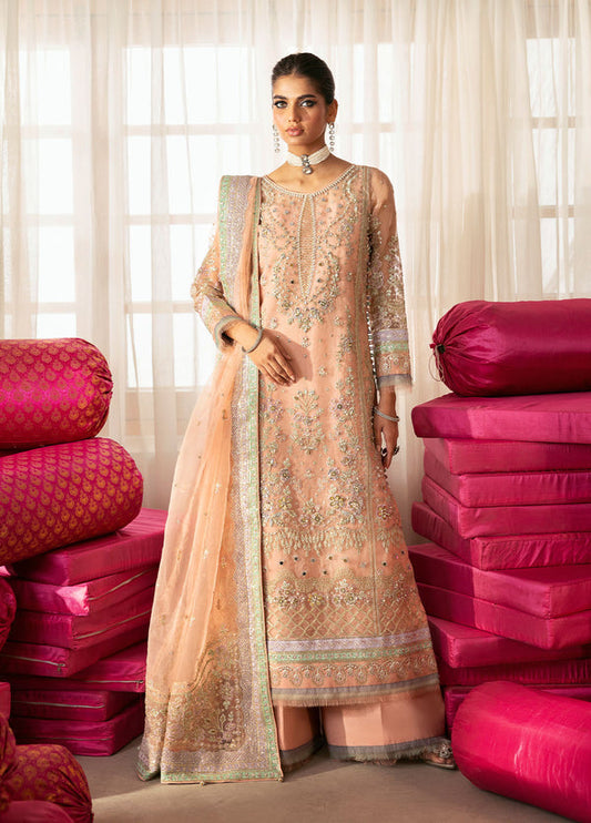Gulaal | Chaandni Wedding Formals | Raniya XS Peach Pink Organza
