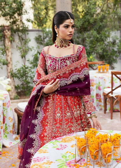 Gulaal | Chaandni Wedding Formals | Shabnam M Orange Net