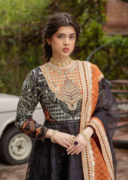 Ali Xeeshan | Chanda Luxury Pret | Bano M Black Cotton Net