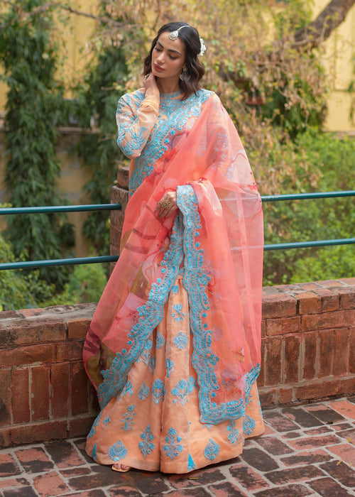 Ali Xeeshan | Chanda Luxury Pret | Qudsia XS Coral Cotton Net