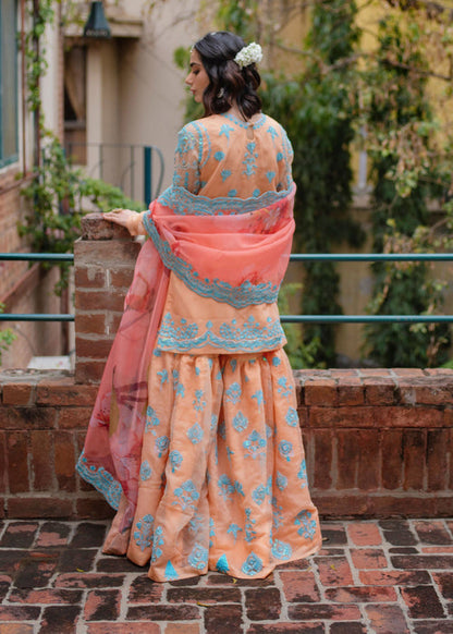 Ali Xeeshan | Chanda Luxury Pret | Qudsia S Coral Cotton Net