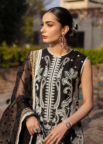 Ali Xeeshan | Chanda Luxury Pret | Domino M Black Net