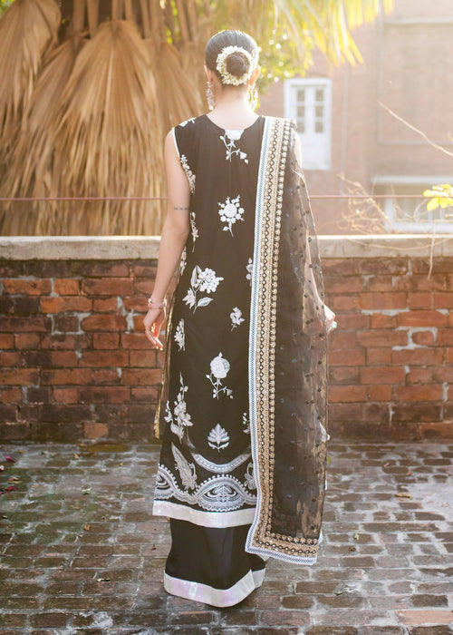 Ali Xeeshan | Chanda Luxury Pret | Domino S Black Net