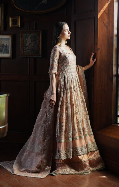 Inayat | Festive Formals |HAZE - Pakistani Designer Dress - by Inayat - Type : Ladies Clothes - 100% Original at Saira Sultan