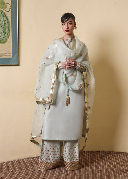 Hussain Rehar | SS Luxury Pret 25 | Miage XS Pastel Gray Pure Raw Silk