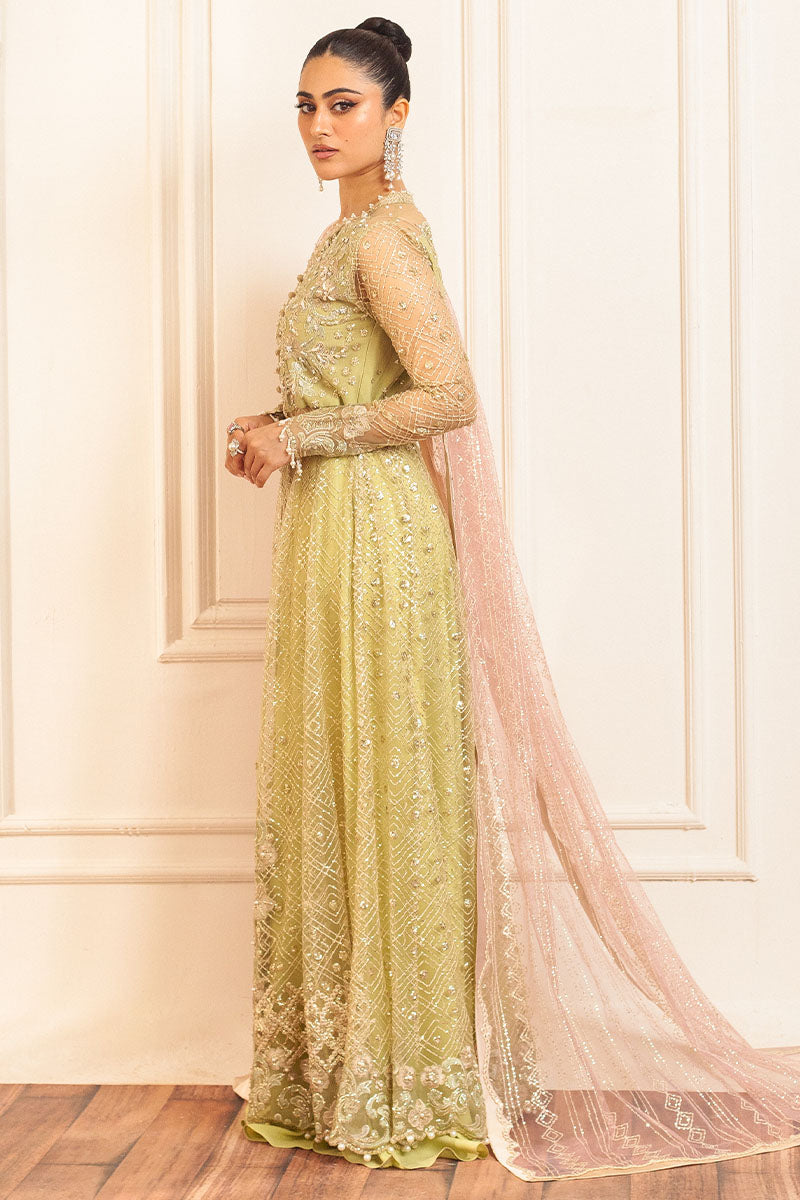 Mushq | Hemline Aura Debut Wedding Formals | WASABI - Pakistani Designer Dress - by Mushq | Type: Formal - 100% Original at Saira Sultan