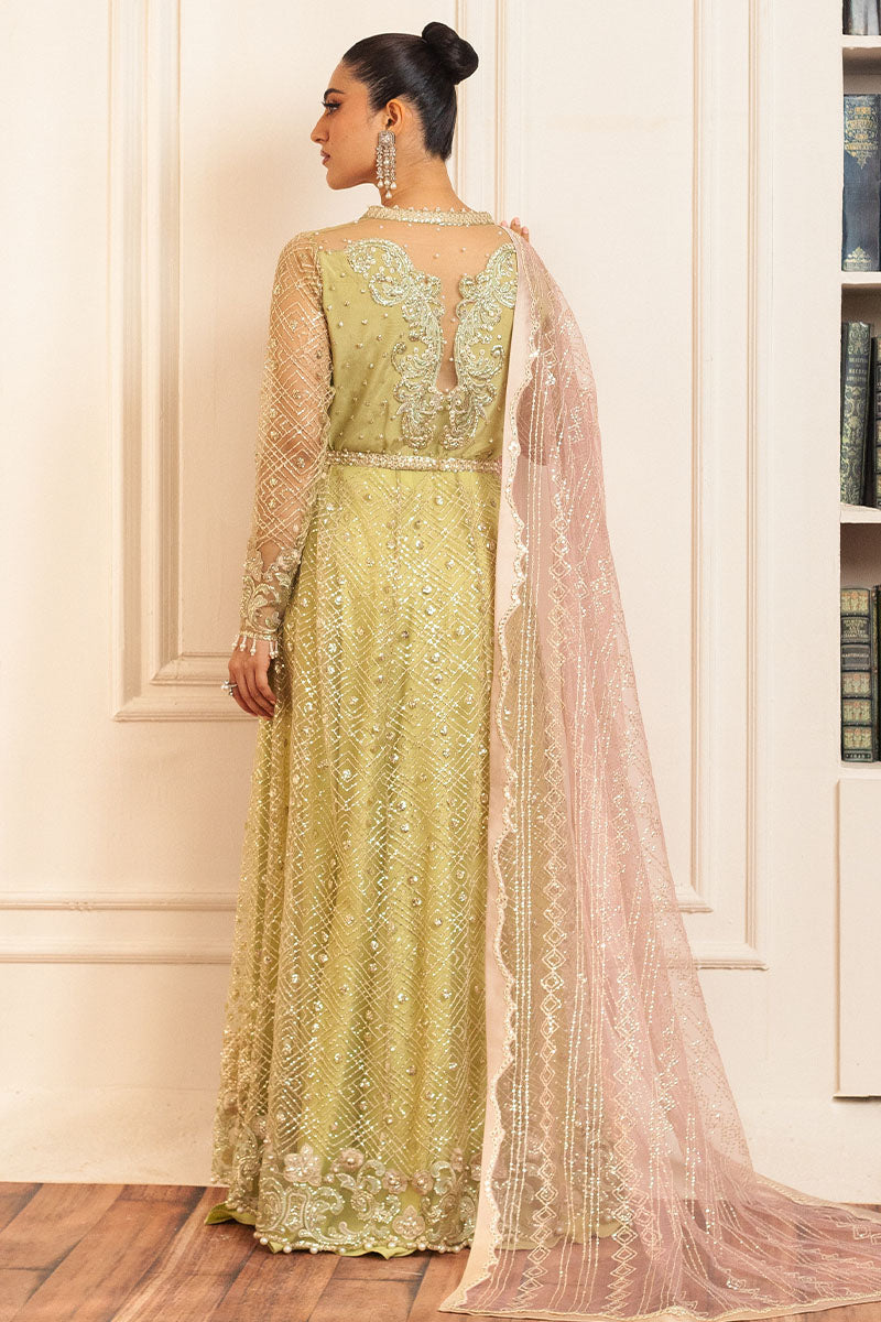 Mushq | Hemline Aura Debut Wedding Formals | WASABI - Pakistani Designer Dress - by Mushq | Type: Formal - 100% Original at Saira Sultan