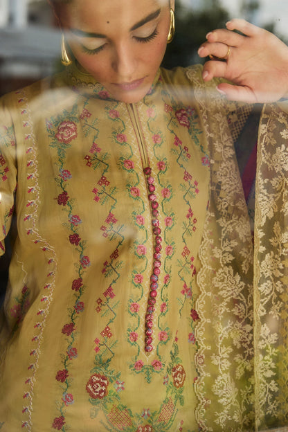 Zara Shahjahan | Satori 25 | Hikari-7B M Olive Lawn