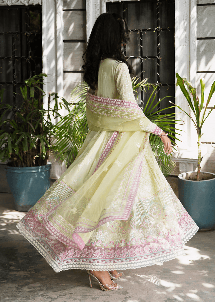 Maria Osama Khan | Rang e Noor Eid Edit | Nargis - Pakistani Designer Dress - by Maria Osama Khan | Type: Luxury - 100% Original at Saira Sultan