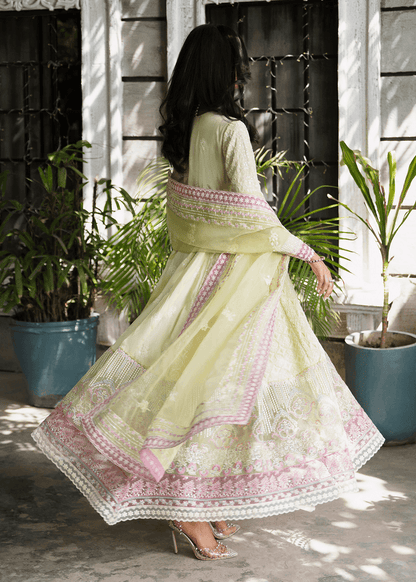 Maria Osama Khan | Rang e Noor Eid Edit | Nargis - Pakistani Designer Dress - by Maria Osama Khan | Type: Luxury - 100% Original at Saira Sultan