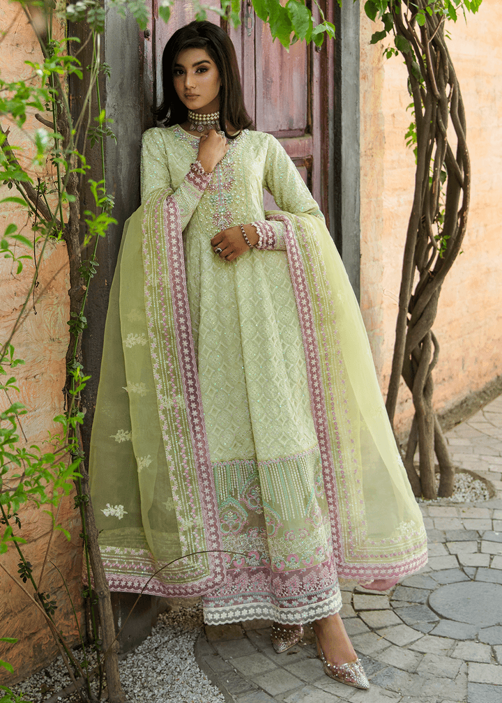 Maria Osama Khan | Rang e Noor Eid Edit | Nargis - Pakistani Designer Dress - by Maria Osama Khan | Type: Luxury - 100% Original at Saira Sultan