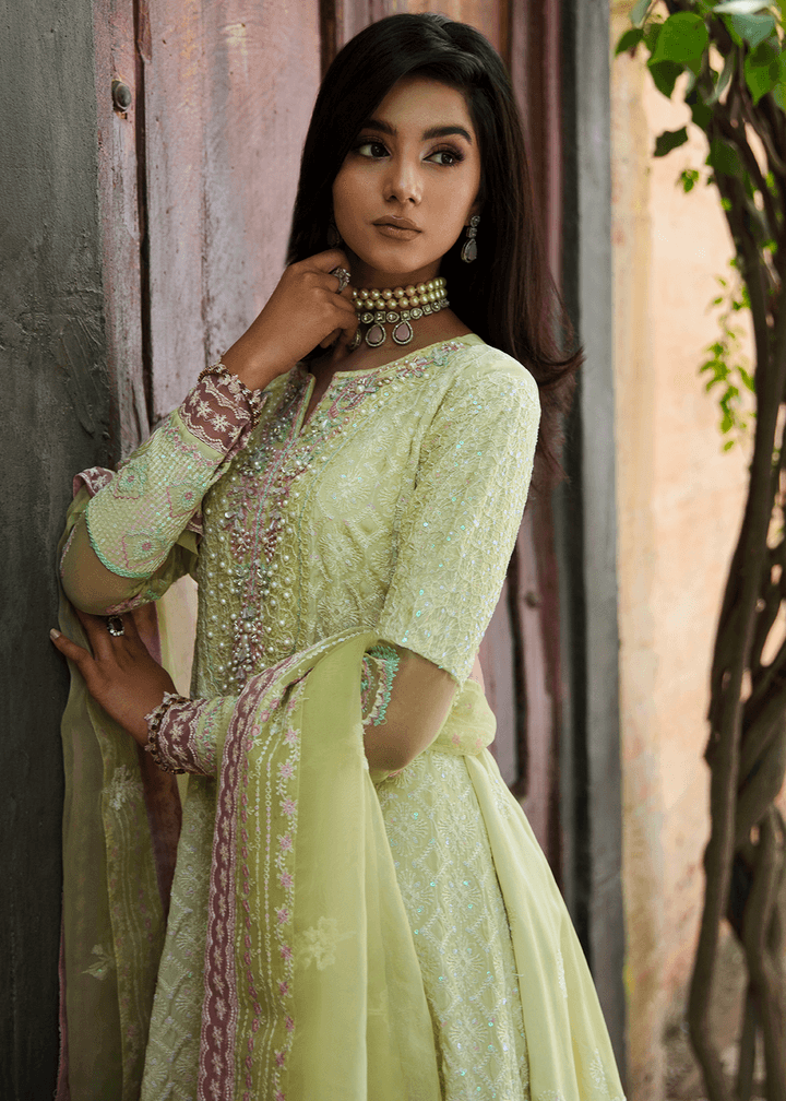 Maria Osama Khan | Rang e Noor Eid Edit | Nargis - Pakistani Designer Dress - by Maria Osama Khan | Type: Luxury - 100% Original at Saira Sultan