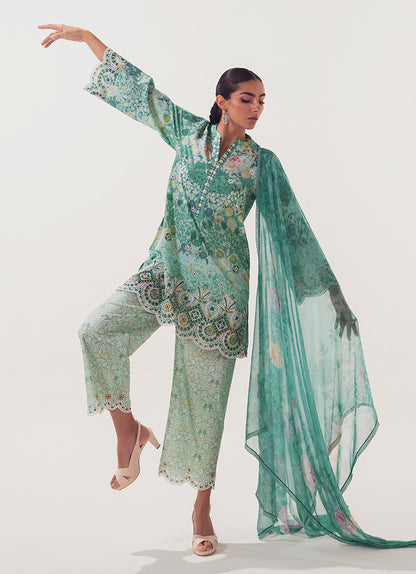 Image | Spring Basics 25 | IMPRSS-213957-12577