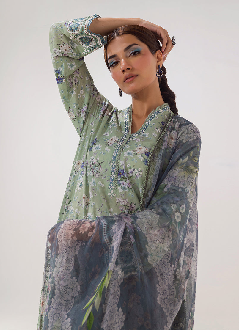 Image | Spring Basics 25 | IMPRSS-213973-12552 M Sage Green Cotton