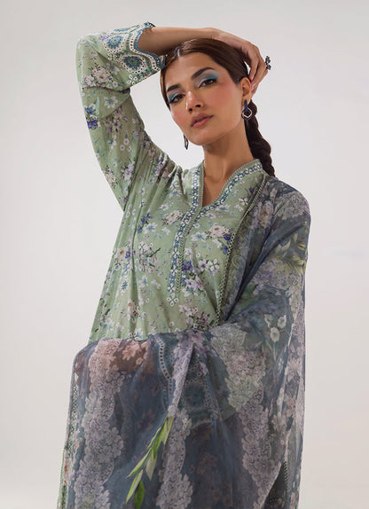 Image | Spring Basics 25 | IMPRSS-213973-12552 M Sage Green Cotton