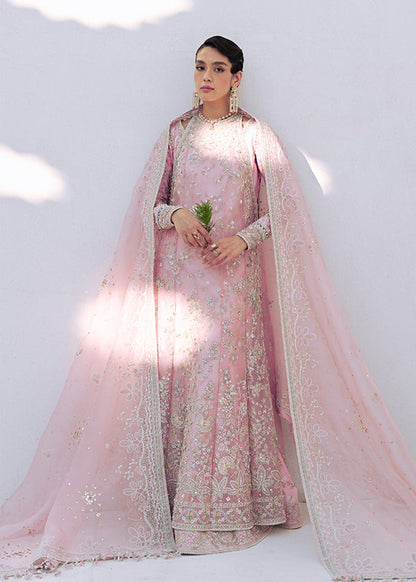 Suffuse | Freeshia Formal | FALEK - Pakistani Designer Dress - by Suffuse - Type : Ladies Clothes - 100% Original at Saira Sultan