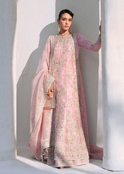 Suffuse | Freeshia Formal | FALEK - Pakistani Designer Dress - by Suffuse - Type : Ladies Clothes - 100% Original at Saira Sultan