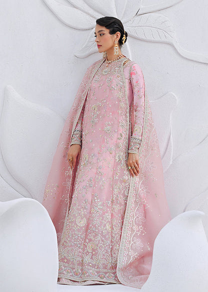 Suffuse | Freeshia Formal | FALEK - Pakistani Designer Dress - by Suffuse - Type : Ladies Clothes - 100% Original at Saira Sultan