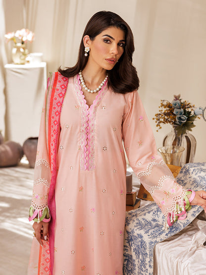 Rajbari | Nissa Chikankari Edition 25 | D# - 03 -  Rajbari Ladies Clothes -  Saira Sultan
