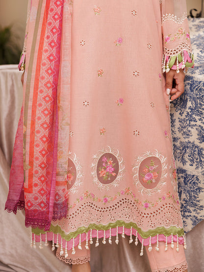Rajbari | Nissa Chikankari Edition 25 | D# - 03 -  Rajbari Ladies Clothes -  Saira Sultan