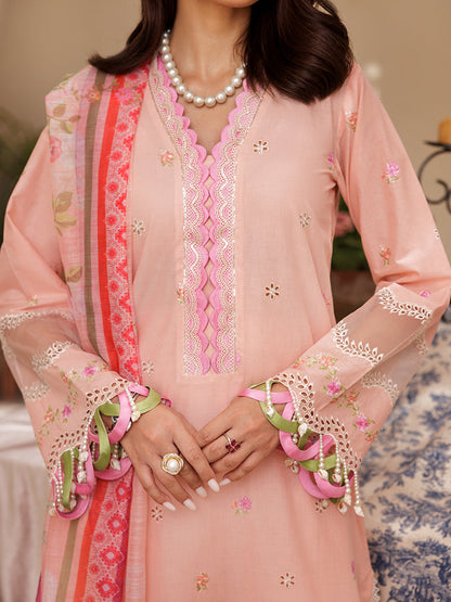 Rajbari | Nissa Chikankari Edition 25 | D# - 03 -  Rajbari Ladies Clothes -  Saira Sultan