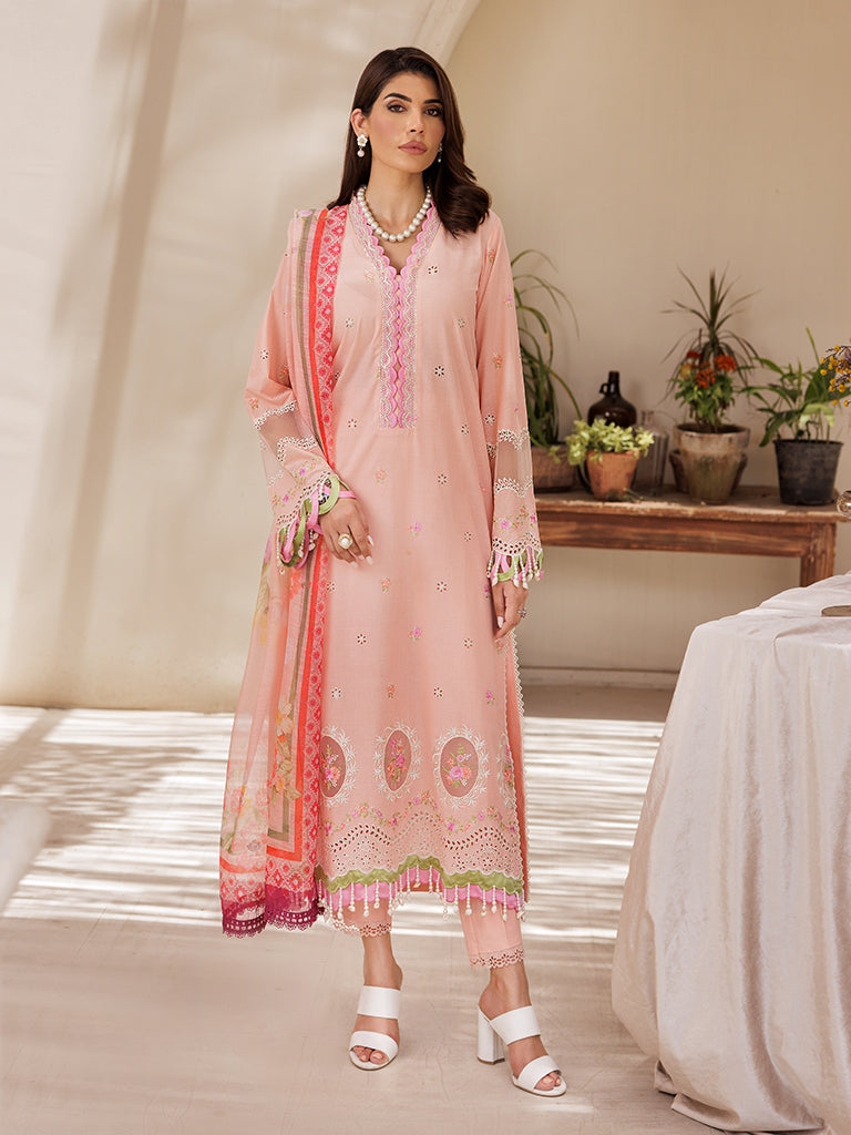 Rajbari | Nissa Chikankari Edition 25 | D# - 03 -  Rajbari Ladies Clothes -  Saira Sultan