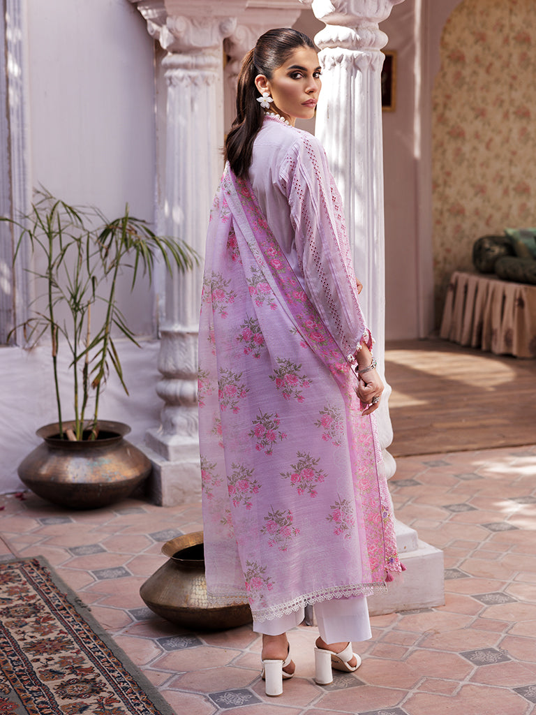 Rajbari | Nissa Chikankari Edition 25 | D# - 06 -  Rajbari Ladies Clothes -  Saira Sultan