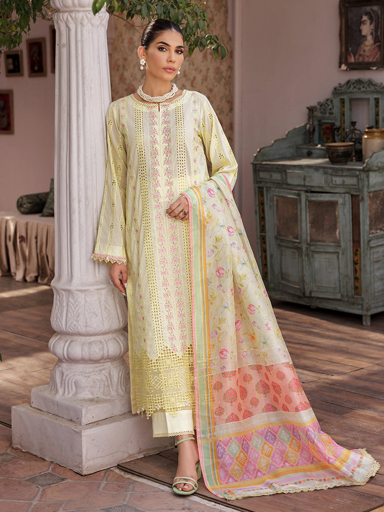 Rajbari | Nissa Chikankari Edition 25 | D# - 09 -  Rajbari Ladies Clothes -  Saira Sultan