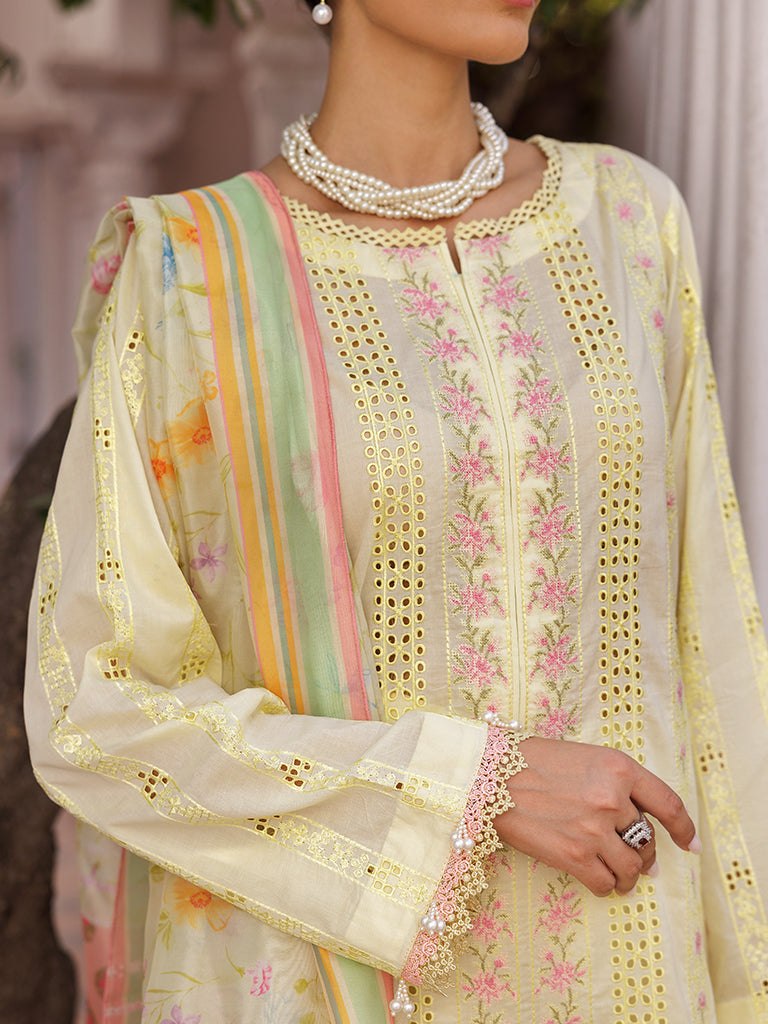 Rajbari | Nissa Chikankari Edition 25 | D# - 09 -  Rajbari Ladies Clothes -  Saira Sultan