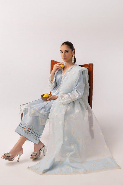 Qalamkar | Basic Pret 25 | KT-04 Wardah L Light Blue Lawn