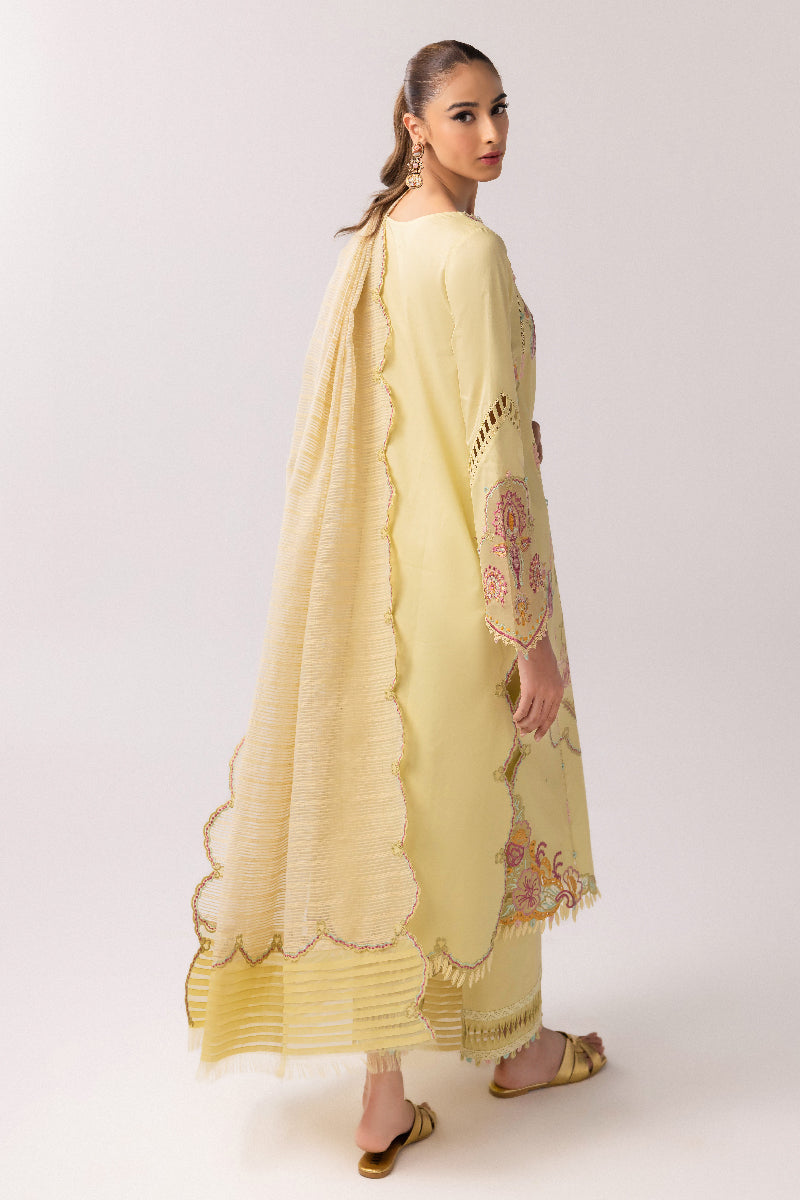Qalamkar | Basic Pret 25 | KT-08 Afra S Pale Yellow Lawn