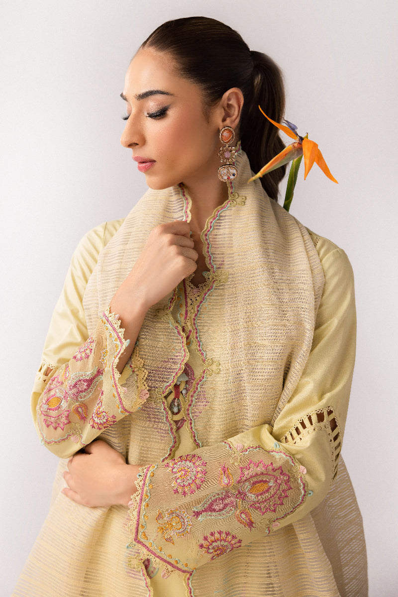 Qalamkar | Basic Pret 25 | KT-08 Afra M Pale Yellow Lawn