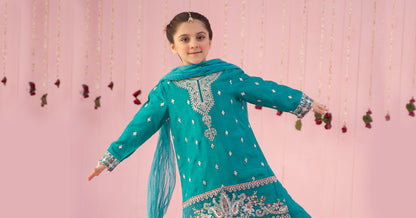 Maria B | 3 Piece Embroidered Raw Silk Suit | MKS-EF24-09