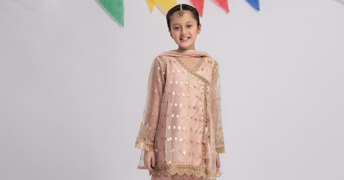 Maria B | 3 Piece Embroidered Organza Suit | MKS-EF24-18