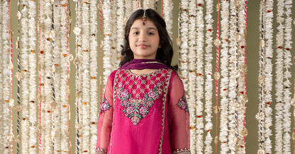 Maria B | 3 Piece Embroidered Organza Suit | MKS-EF25-16 14-Dec Pink