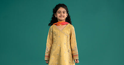Maria B | 3 Piece Embroidered Cotton Zari Net Suit | MKS-EF25-46