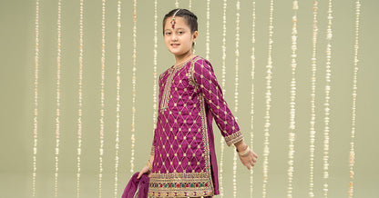 Maria B | 3 Piece Embroidered Raw Silk Suit | MKS-W24-28 14-Dec Purple
