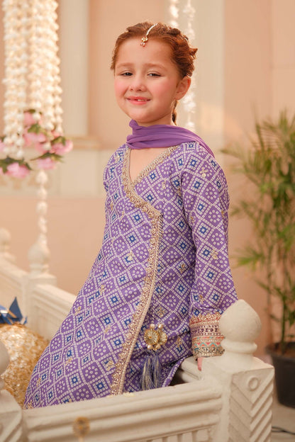Maria B | 3 Piece Embroidered Raw Silk Suit | MKS-W24-20 10-Aug Purple