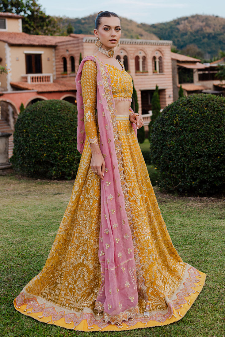 Marjjan | Isabella Formals | MLC-28 M Yellow Crinkle Chiffon