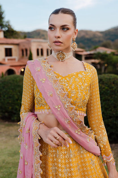 Marjjan | Isabella Formals | MLC-28 XL Yellow Crinkle Chiffon