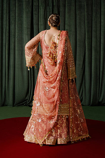 MNR | Zarlish Festive Formals | Guriya Rani S Ash Pink Organza