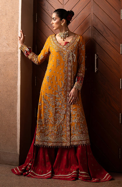Emaan Adeel | Casabella Wedding Formals | SOLENE - Pakistani Designer Dress - by Emaan Adeel | Type: Ladies Clothes - 100% Original at Saira Sultan