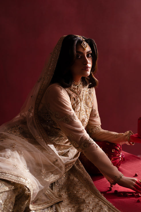 Emaan Adeel | Nooresha Formals 25 | Safira XL Off White Net