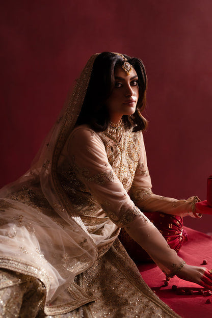 Emaan Adeel | Nooresha Formals 25 | Safira XL Off White Net